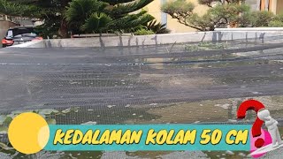 KEDALAM KOLAM 50 CM - CARA BUDIDAYA IKAN GURANE DI KOLAM BETON #ikan #budidaya #gurame