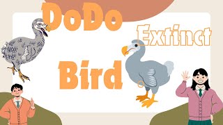 Extinct Dodo Bird