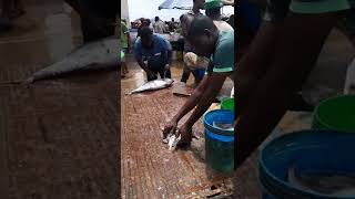 Africa fish market