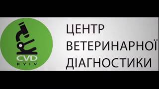 Cтуденти кафедри вірусології відвідали Центр Ветеринарної діагностики