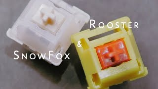 Ceptify Snowfox & Rooster Linear Switch REVIEW + SOUNDTEST