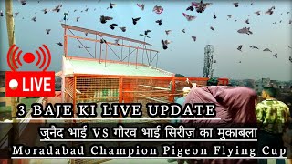 3 BAJE KI LIVE UPDATE || जुनैद भाई VS गौरव भाई सिरीज़ का मुकाबला ||  Moradabad Pigeon Flying Cup 155