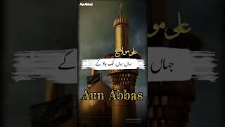 Share Ali as k bubs Mein | علی کے بغض میں | #aunabbas #share #short 🌹🙏🏻💯🌼