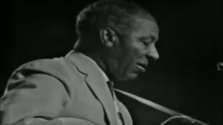 Lonnie Johnson - Too Late To Cry (1963)