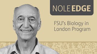 Nole Edge: FSU's Biology in London Program