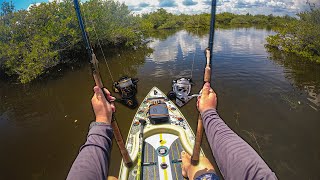 Exploring Giant Saltwater Mangrove Marsh on Paddleboard!