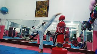 taekwondo kicking