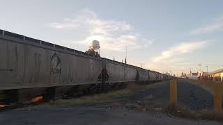 tren granelero y tren de patio