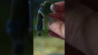 Quick tip Back glide rigging the techno frog