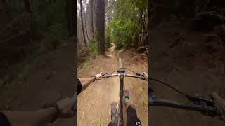 Gum Diggers 440 Bike Park