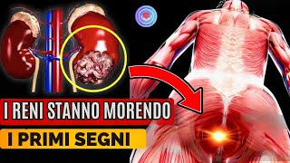 I Reni Stanno Morendo! 10 Strani Segni Di Danno Ai Reni