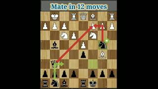 checkmate in 12 moves #shorts #youtubeshorts