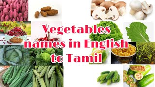 Vegetables names in English to tamil  | vegetables names translation to tamil | காய்கறிகளின்பெயர்கள்