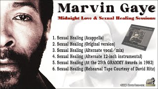 Marvin Gaye - Sexual Healing Sessions (6 songs)