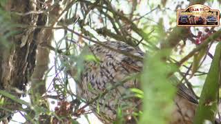 Video Promoção Baja TT Vindimas do Alentejo e Concelho de Castro Verde