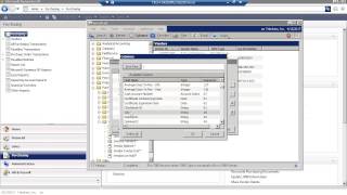 Tidestone Solutions Dynamics GP 1099 Webinar - January 2013