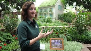 Gardening With Friends: Two perspectives of Van Gogh in Bloom at Phipps