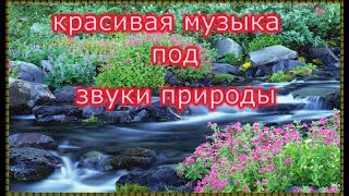 #красивая музыка под звуки природы/ #beautiful music to the sounds of nature