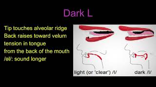 Liquids and L and Its Allophones, Light, and Dark L