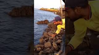 Bream fish catching