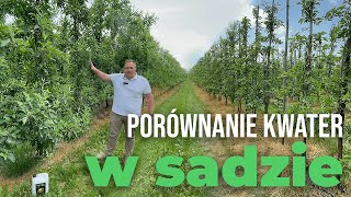 Kwasy humusowe w sadzie - porównanie kwater w odmianie Gala