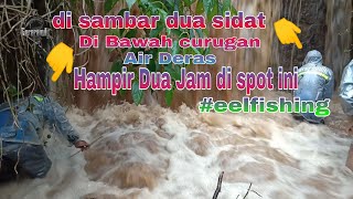 Best eel fishing.mancing sidat di air keruh.hampir dua jam menaklukan sidat di air deras