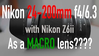 Nikon 24-200mm as a MACRO lens on the Nikon Z6ii???