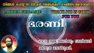 ഭരണി   നക്ഷത്രക്കാർക്ക്‌ വിജയിക്കാൻ കഴിയുന്ന തൊഴിൽ മേഖലകൾ II WHICH JOBS ARE SUITABLE FOR BHARANI