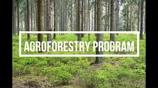 AGROFORESTRY PROMOTIONAL VIDEO