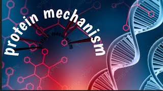 in hindi protein test kise hota hai ? protein mechanism kya hota hai ?