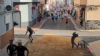 salida del toro cerril Madroñiz en el barrio Santa Rosa de Lima la Vall de Uxó 31 de agosto 2024