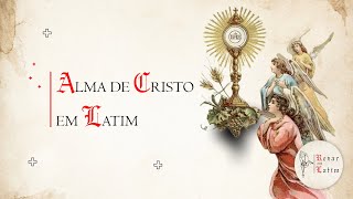 Alma de Cristo em Latim (Anima Christi) | Rezar em Latim