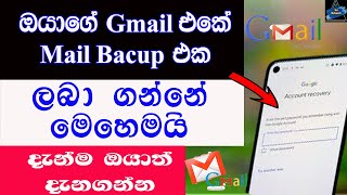 How To Get All Mail Backup In Gmail Sinhala 2021 | Backup For Gmail | Sri Network