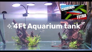 4ft aquarium setup | 4ft aquarium tank | Greening Aquascape | No Soil, No Co2, No Algae #aquarium