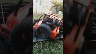 WOOP-DE-DO's in Slo-Mo with my 1:14 RC JEEP 4x4 Rock Crawler