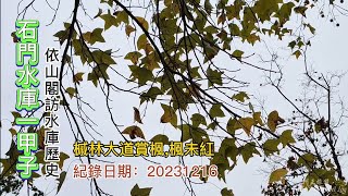 石門水庫一甲子，依山閣探訪水庫歷史，槭林大道賞楓-20231216