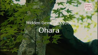 Hidden Gems of Kyoto  Ohara