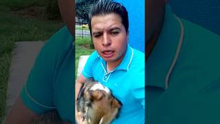 5. Como hacer que mi perro venga cuando lo llamo y que se deje atrapar QUINTA PARTE