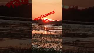 💕💕পরন্ত বিকেলের অপূর্ব সুন্দর দৃশ্য 💕💕#hasan #shorts #vairal #viral