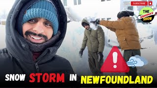 Crazy Winter Storm In Newfoundland | St.John's | #canadawinter #snowstorm #2024