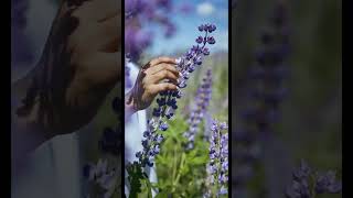 So pretty 😍 #wildflowers #flowers #purple #woman #grass #gorgeous #shortvideo #facts