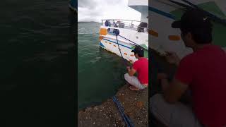 #fishingvideo #shorecastingphilippines #fishing #sportsfishing #fishingequipment #shorecasting