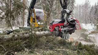 NEW Nisula 755X harvesting head on Eco Log harvester!