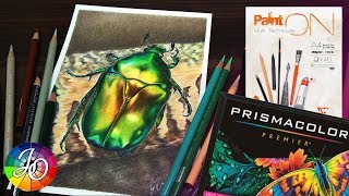 ЧТО НЕ ТАК С PRISMACOLOR? ТЕСТ НОВОЙ БУМАГИ 👍✔ Рисуем жука цветными карандашами // Drawing beetle