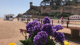 Traveller: Spain, Catalonia, Tossa de Mar