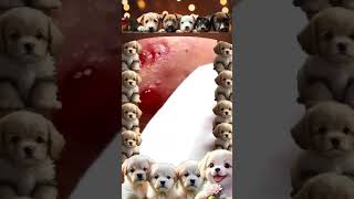 Big Cystic Acne Blackheads Extraction Blackheads & Milia, Whiteheads Giant Pimple Popping