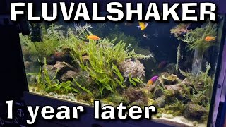 FLUVAL SHAKER 252 Aquarium After 1 Year | Saltwater Planted Reef Macroalgae Aquarium