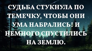 Судьба стукнула по темечку, чтобы они ума набрались! И немного спустились на землю.