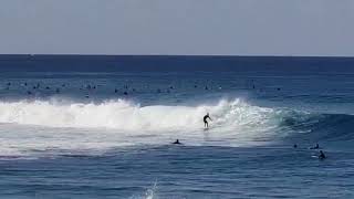 Playa de las Amèricas - 31 dicembre 2018