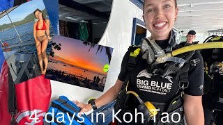 Complete an Open Water Diver with us in Koh Tao! 🏊‍♀️